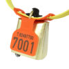 Product photo: Fokus tag, orange, with bell and part of KVIKK collar