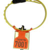 Product photo: Fokus tag orange with Os bell and Kvikk collar for sheep