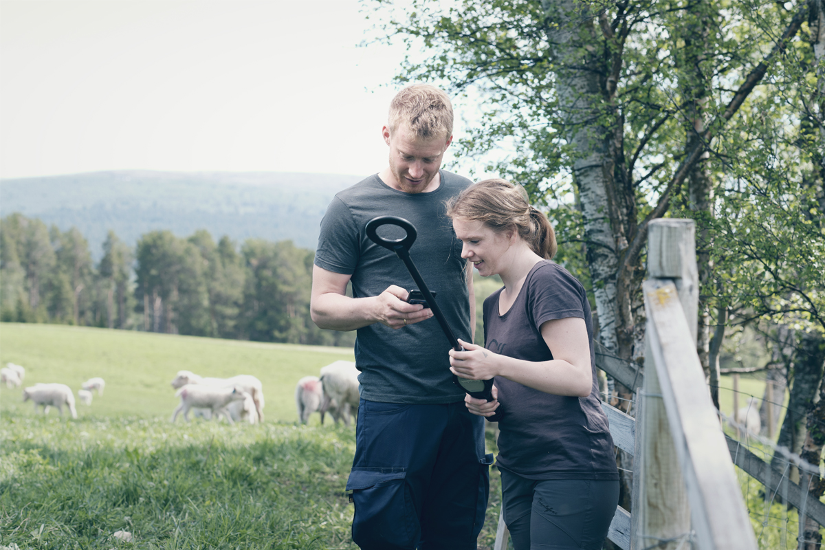 Foto forside: Sau og bønder